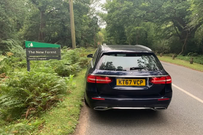 New Forest, Hampshire.
